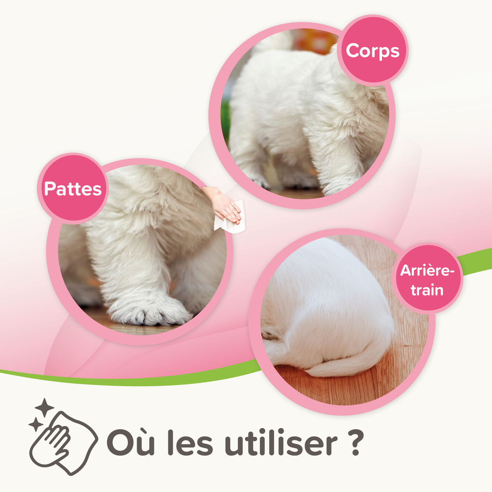 1000056_Ecommerce_BIO_Pet_Wipes_Sensitive_FR_2025_06