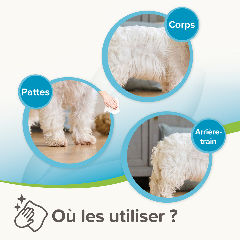 1000055_Ecommerce_BIO_Pet_Wipes_Universal_FR_2025_06