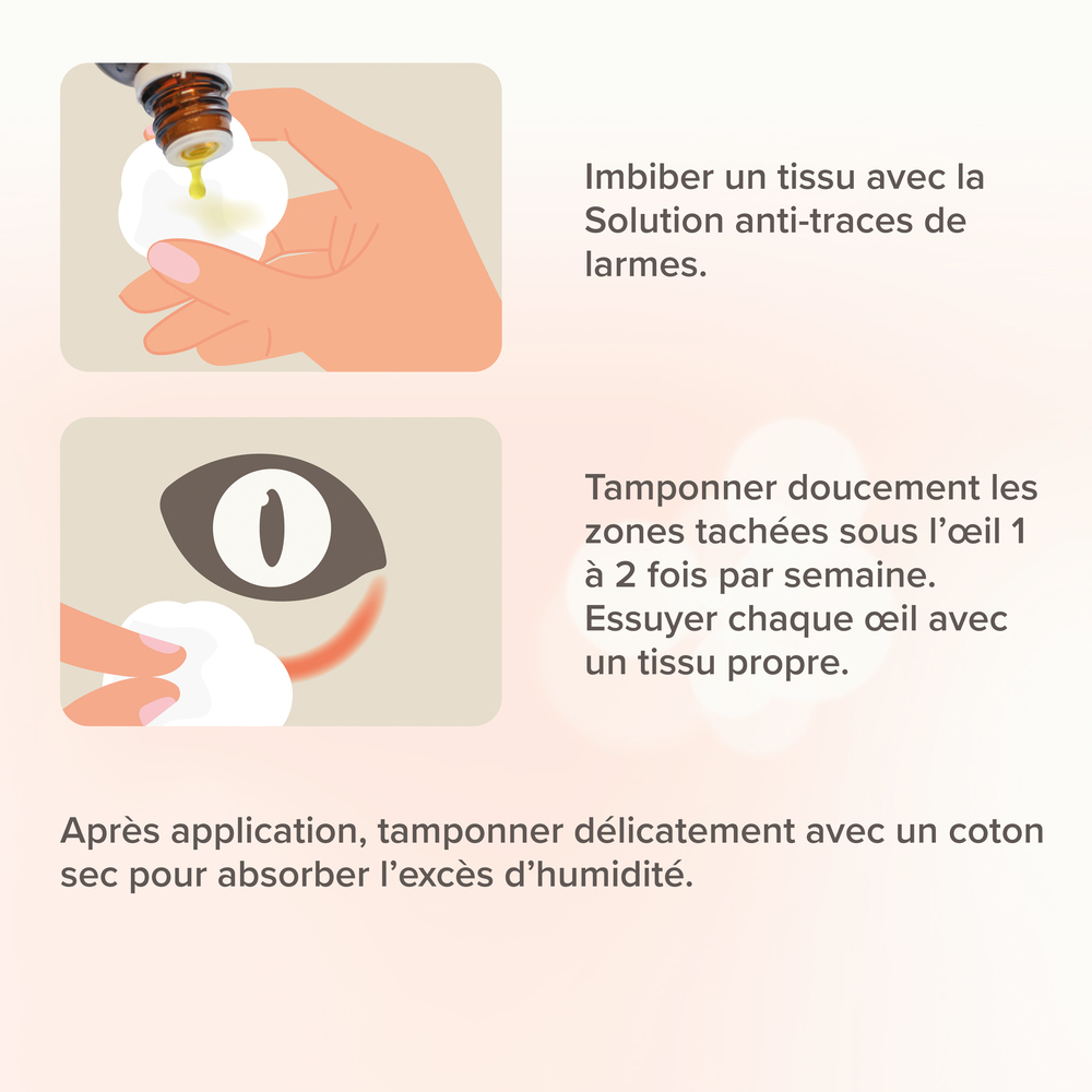 11632_Ecommerce_Tearstain-Remover_FR_2023-5