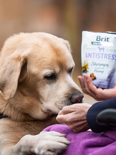 brit-friandises-naturelles-pour-chien-crevette-chanvre-antistress-1_2048x2048