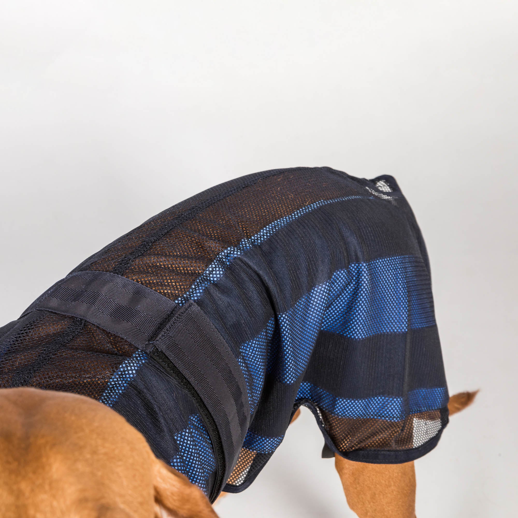 4327CoolonTrackCoolingDogCoat2.0Detail02Web_2000x