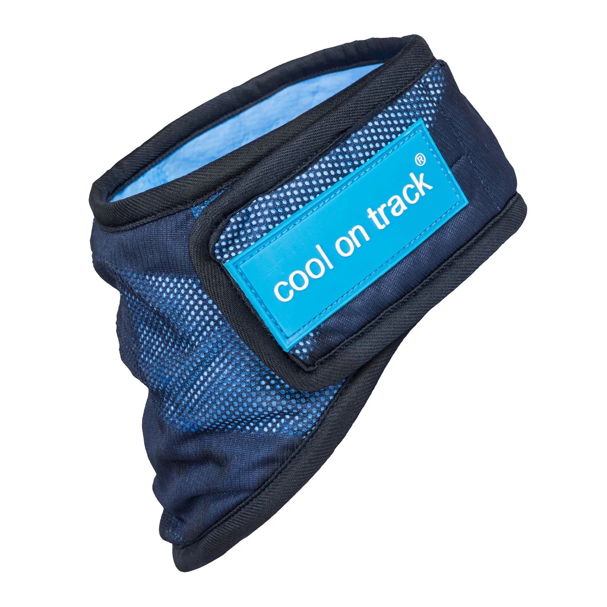 4322-Cooling-Bandana-WEB_L_02_1200x
