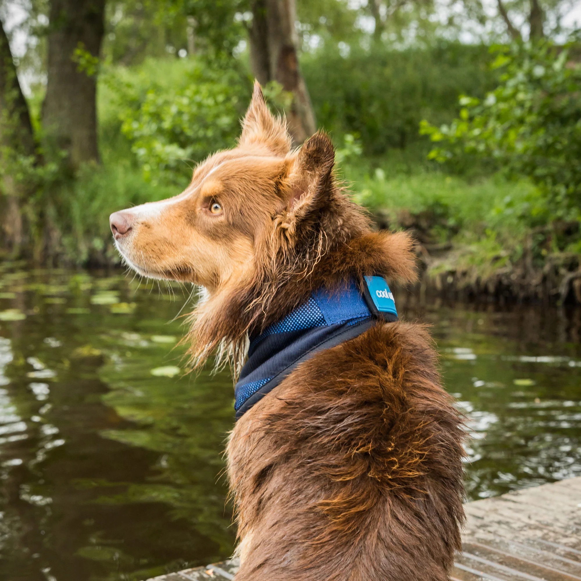 4322-Cooling-Bandana-WEB_LIFESTYLE_02_2000x