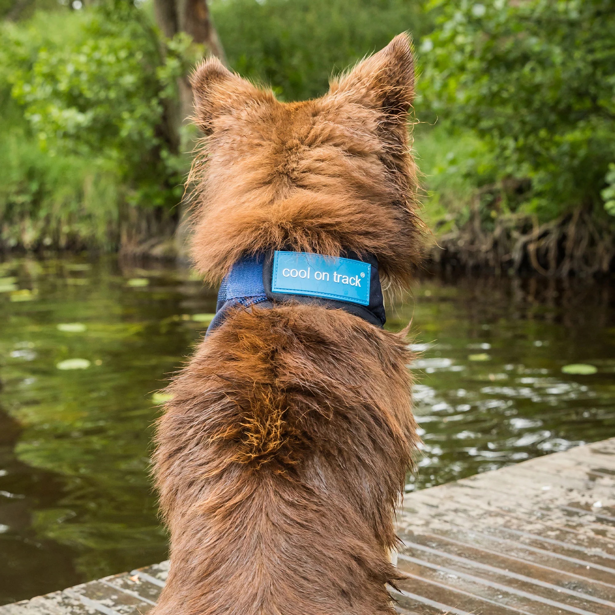 4322-Cooling-Bandana-WEB_LIFESTYLE_01_2000x