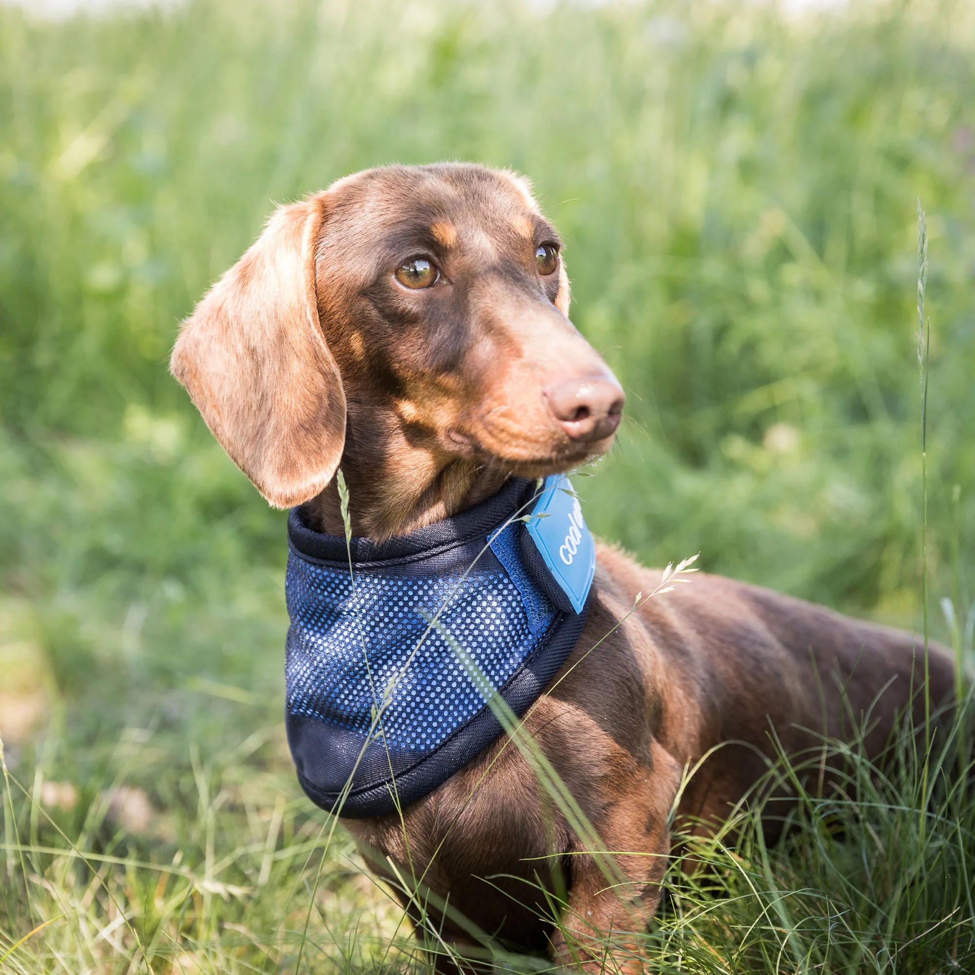 4322-Cooling-Bandana-WEB_LIFESTYLE_05_2000x