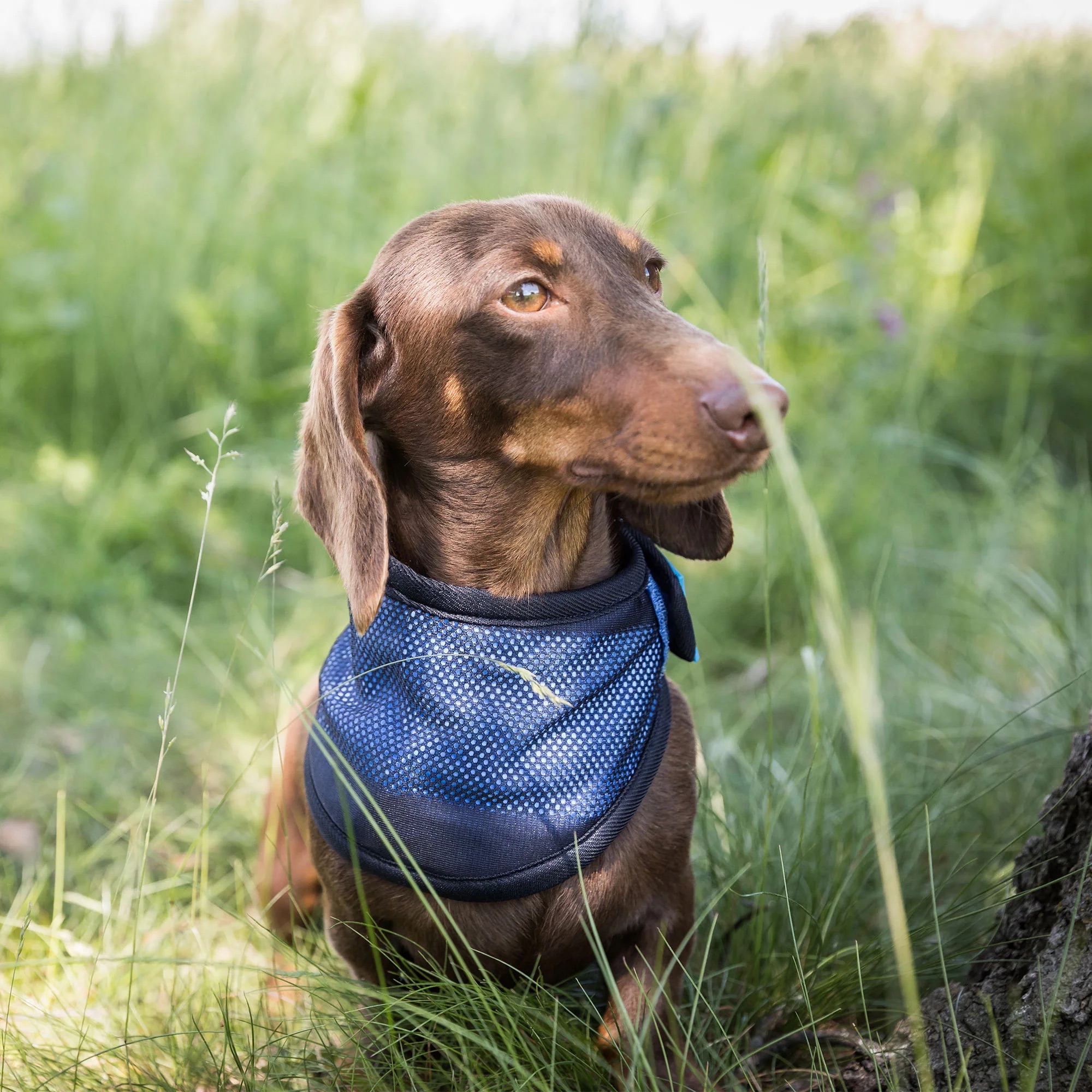 4322-Cooling-Bandana-WEB_LIFESTYLE_04_2000x