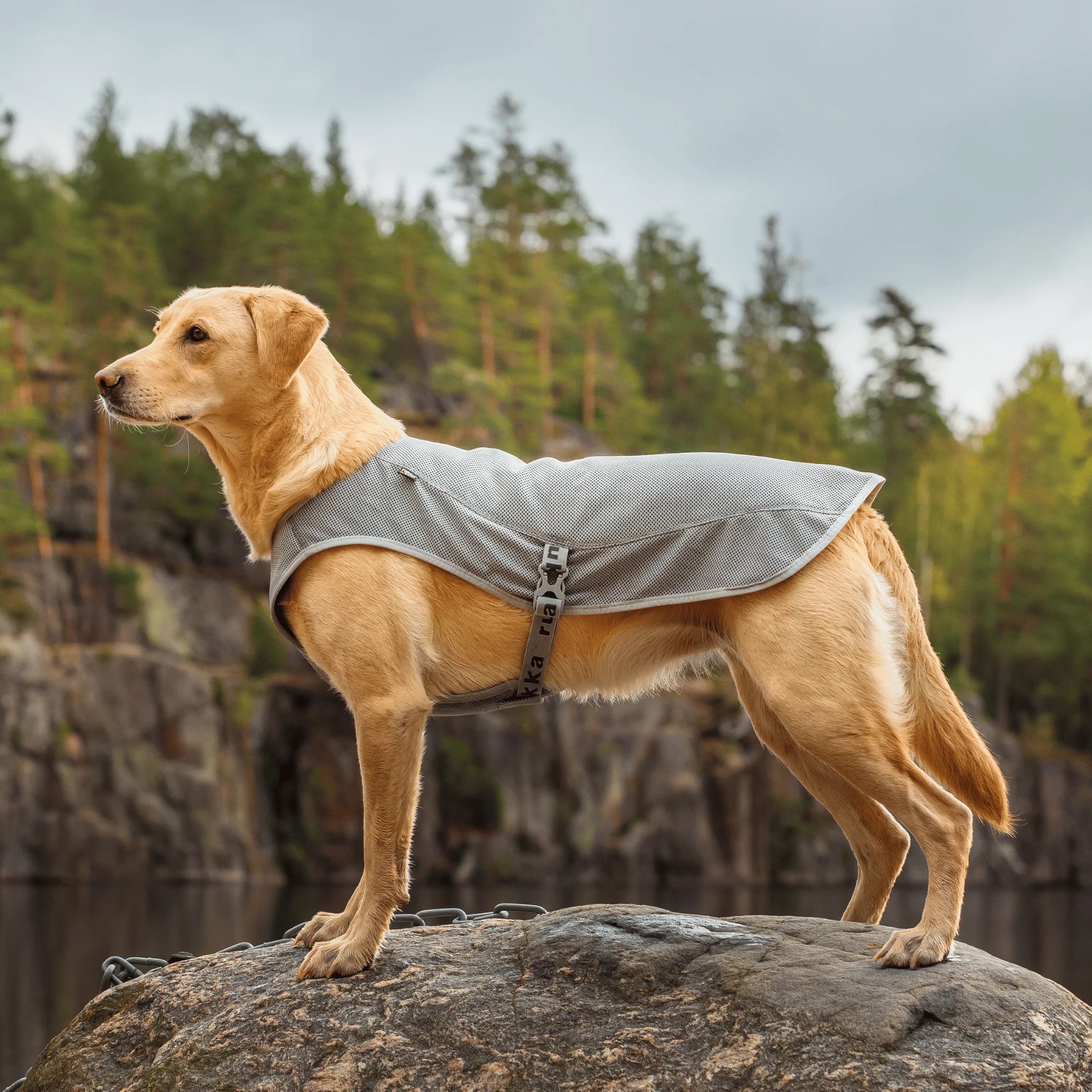 gilet-rafraichissant-gris-rukka-ambiance-2