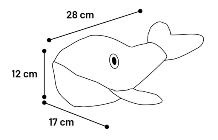 524858_T_01
