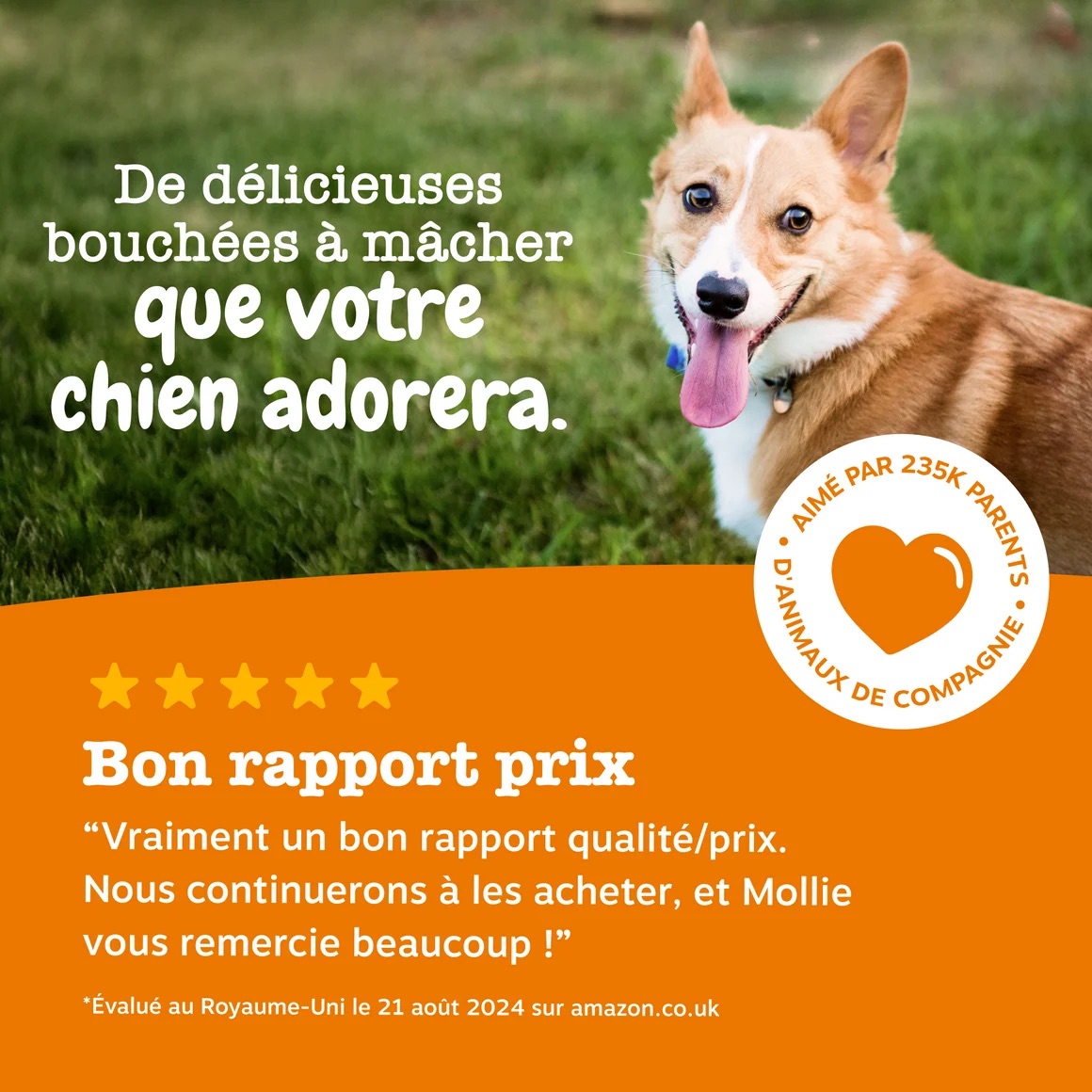 FR_90ct_AllerImmune_Dog_September2025_DTC_ProductCarousel_7-1