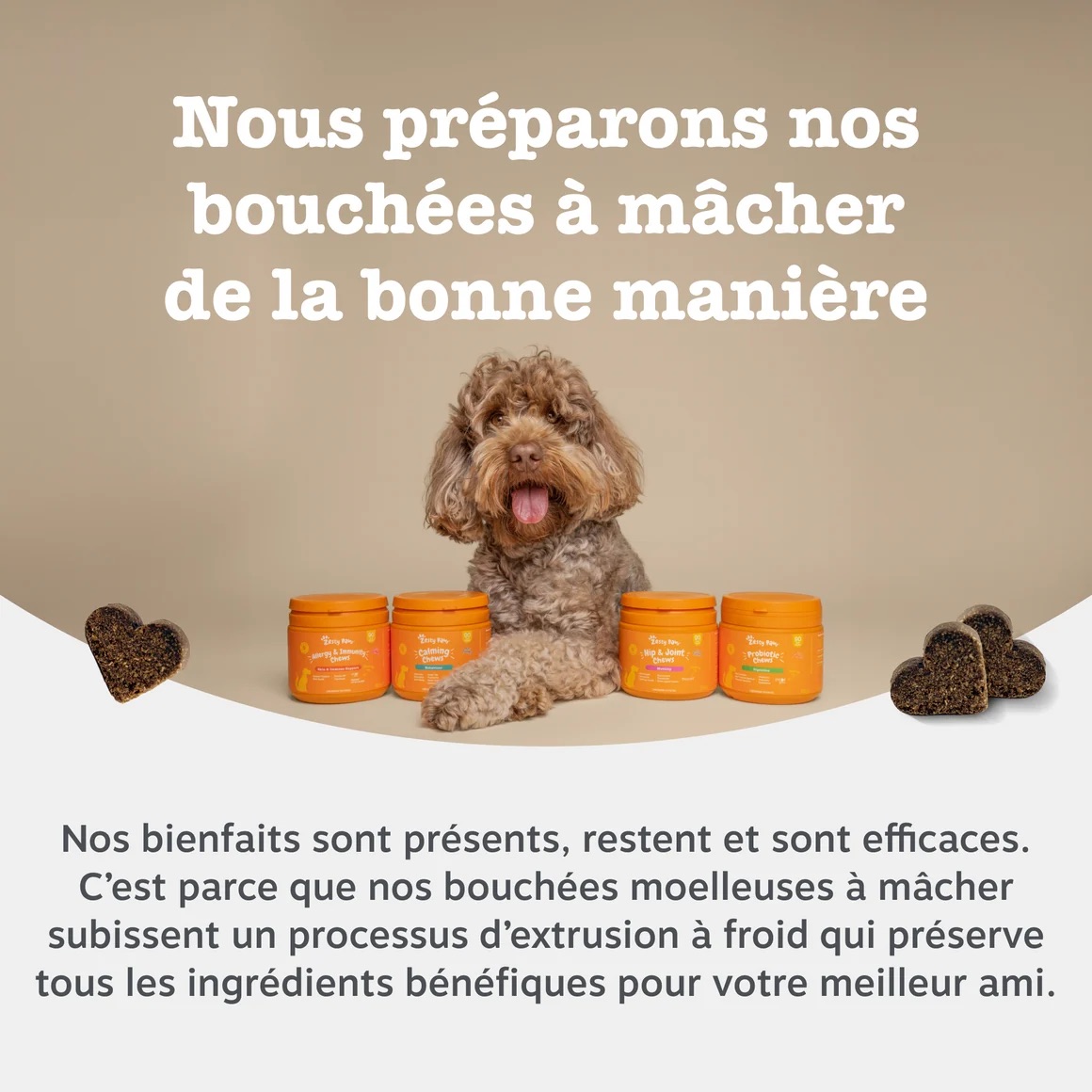 FR_90ct_OmegaSkin_Coat_Dog_September2025_DTC_ProductCarousel_8