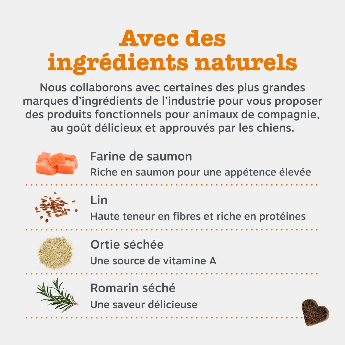 FR_90ct_AllerImmune_Dog_September2025_DTC_ProductCarousel_7