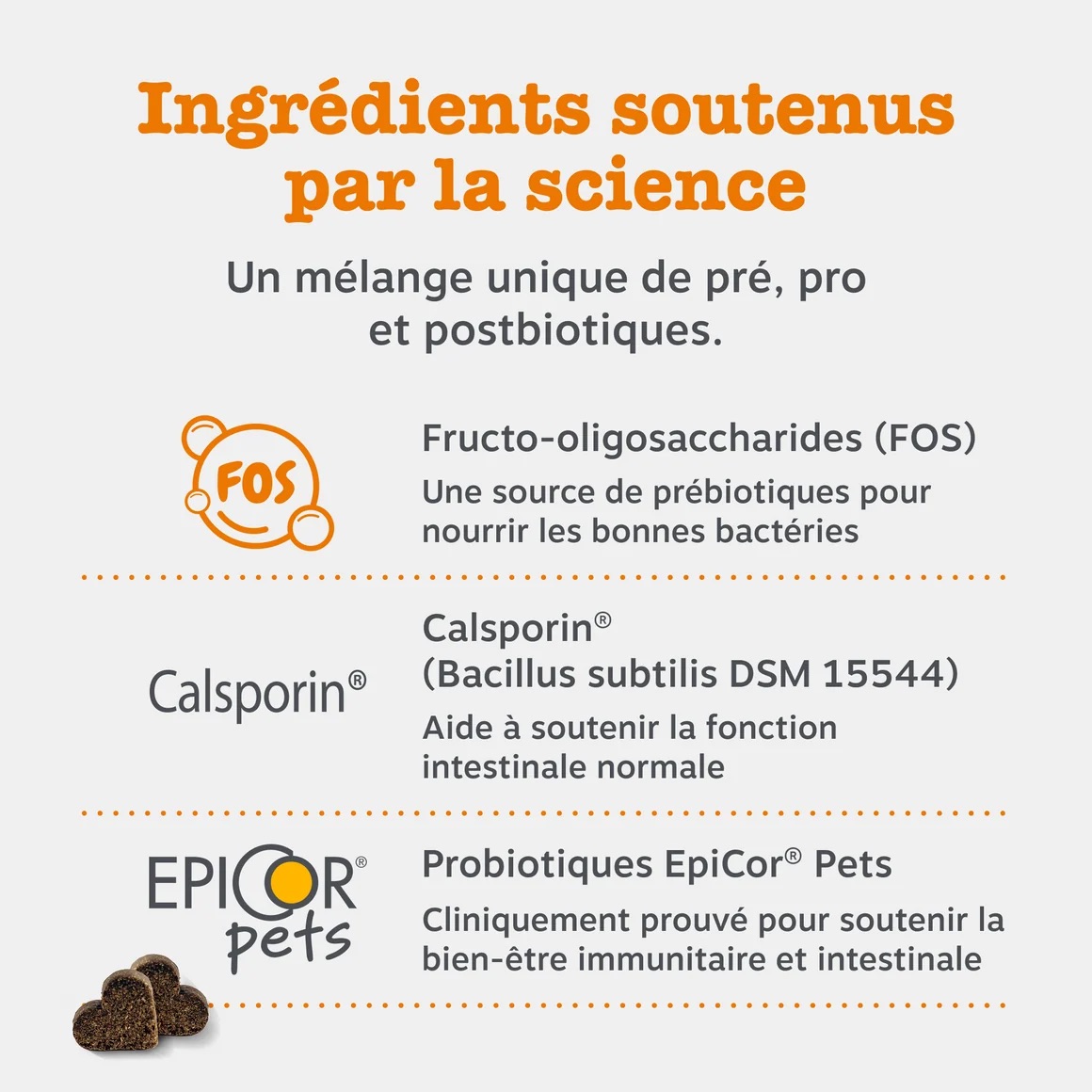 FR_90ct_Probiotic_Dog_September2025_DTC_ProductCarousel_4