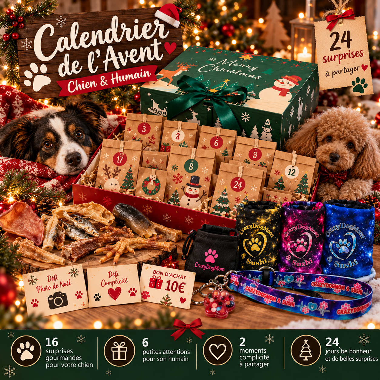 Calendrier de l’Avent pour chiens et humains