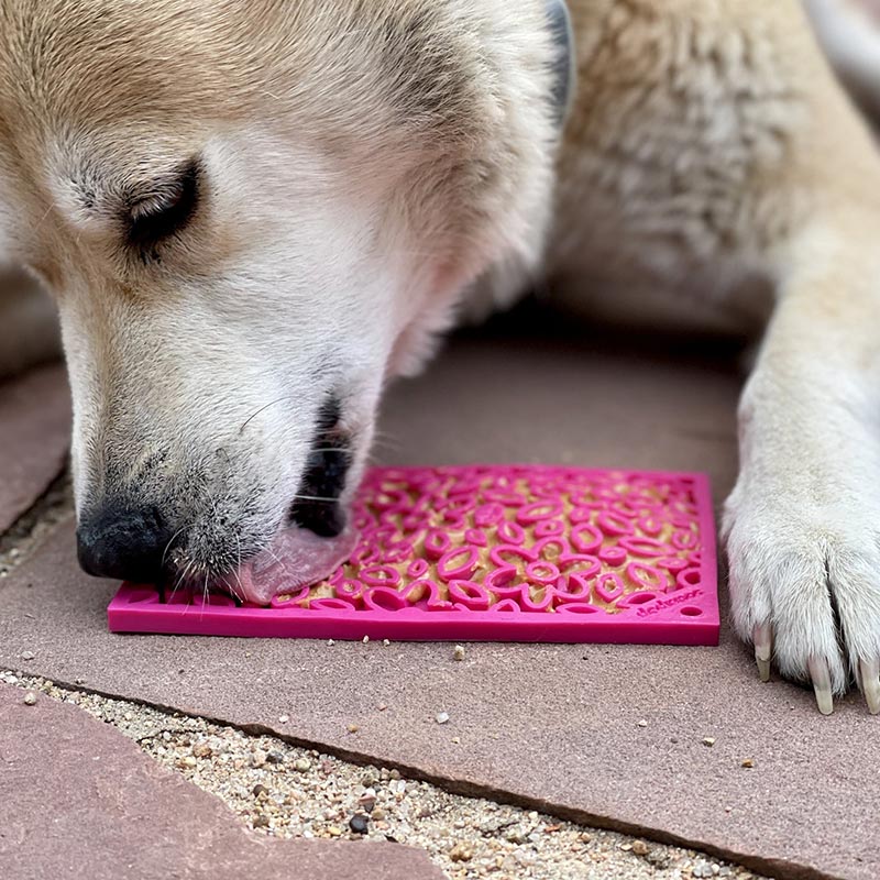sodapup-true-dogs-llc-lick-mat-new-susan-g-komen-fundraiser-flower-power-design-emat-enrichment-1