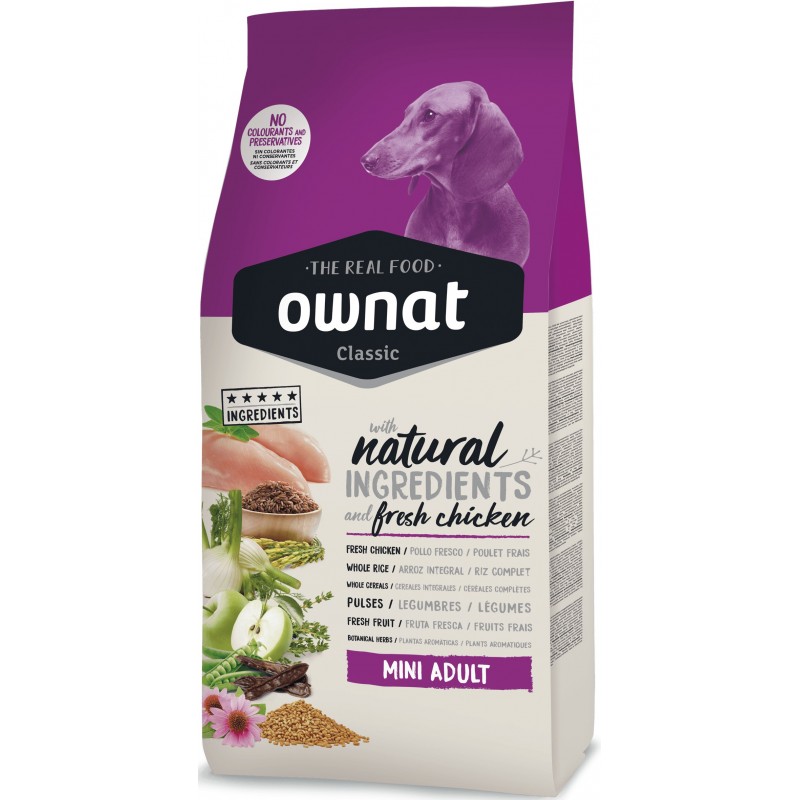 ownat-chien-mini-adulte-classic