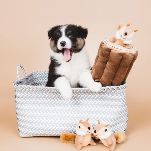 Rocke-Ranch-Squirrel-Log-600x600-1