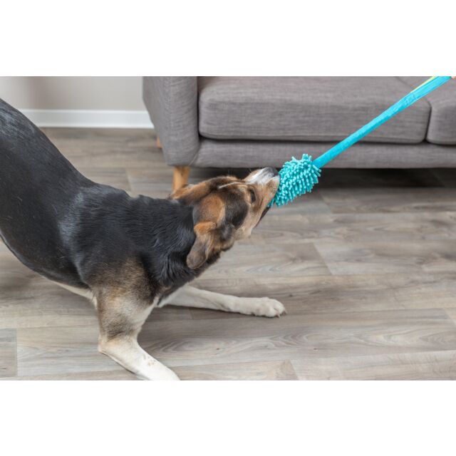PHO_PRO_DOG_32866-3_#SALL_#AWK_#V1