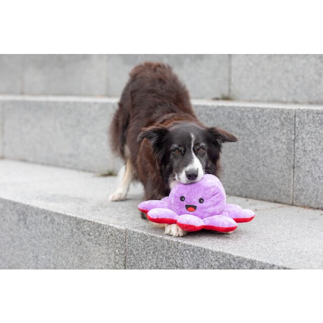 PHO_PRO_DOG_35929-10_#SALL_#AWK_#V1