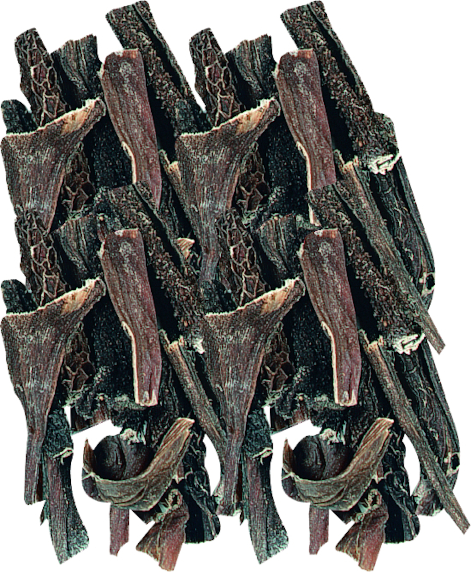 504452_E_01