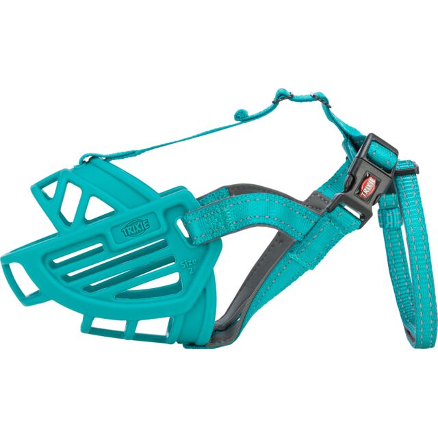 PHO_PRO_CLIP_9935238-1_#SALL_#AWK_#V1