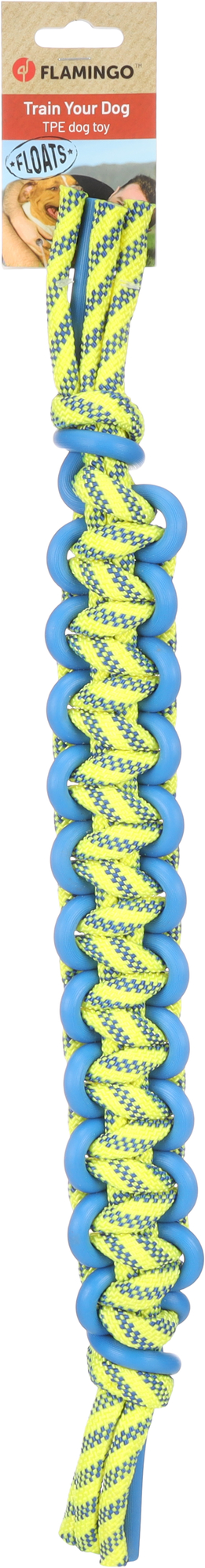 523978_V_01
