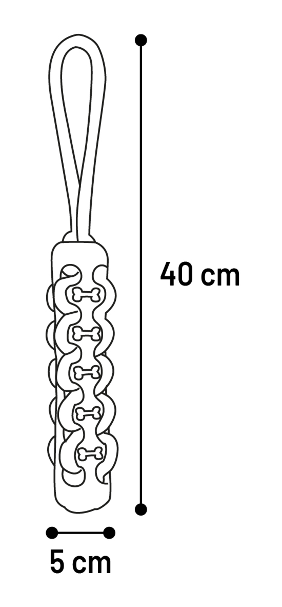 523975_T_01