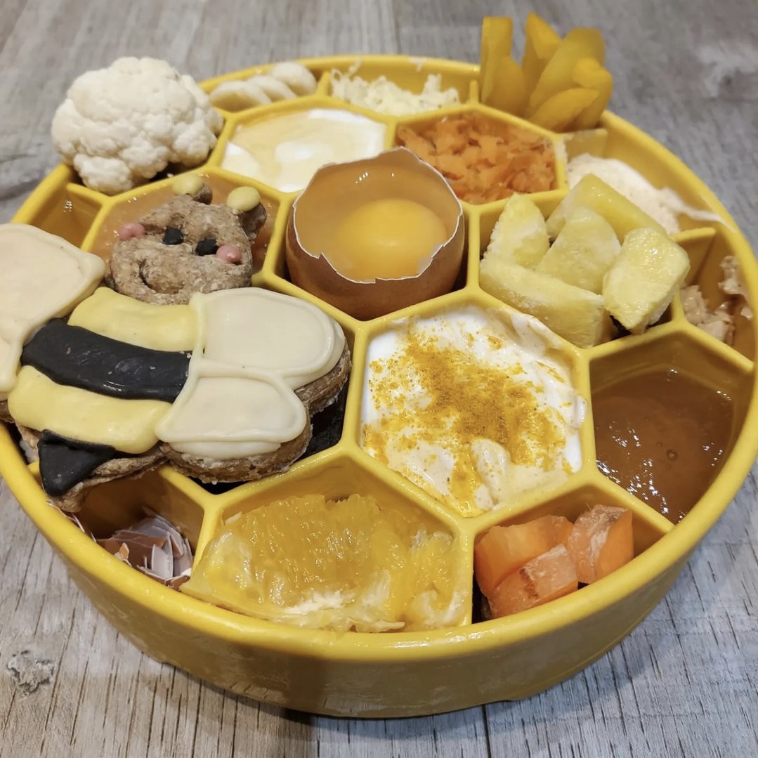 Sodapup-honeycomb