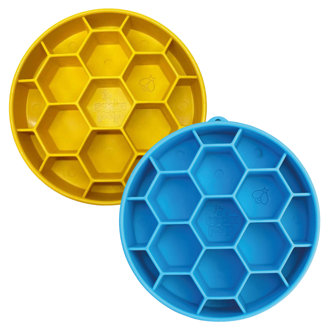 sodapup-sodapup-honeycomb-slow-feeder-bowl.jpg