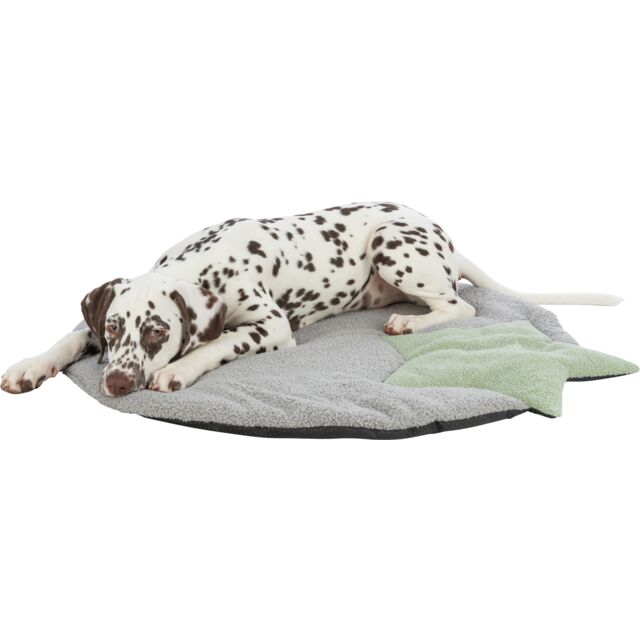 PHO_PRO_DOG_CLIP_38245-2_#SALL_#AWK_#V1