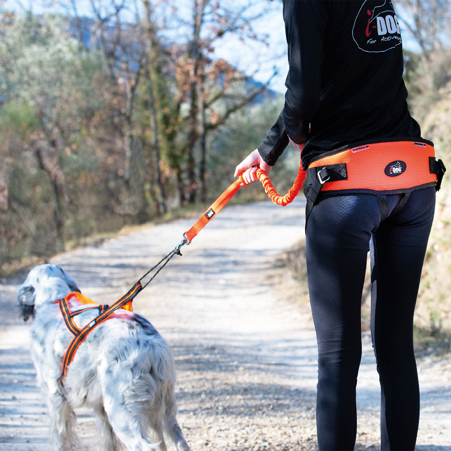 photo-pres-baudrier-one-light-I-DOG-06