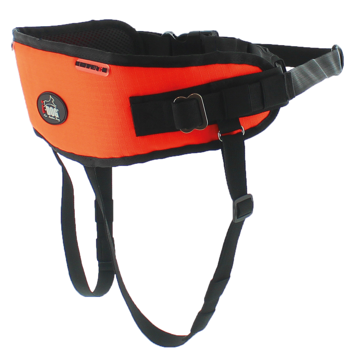 photo-pres-baudrier-one-light-I-DOG-02