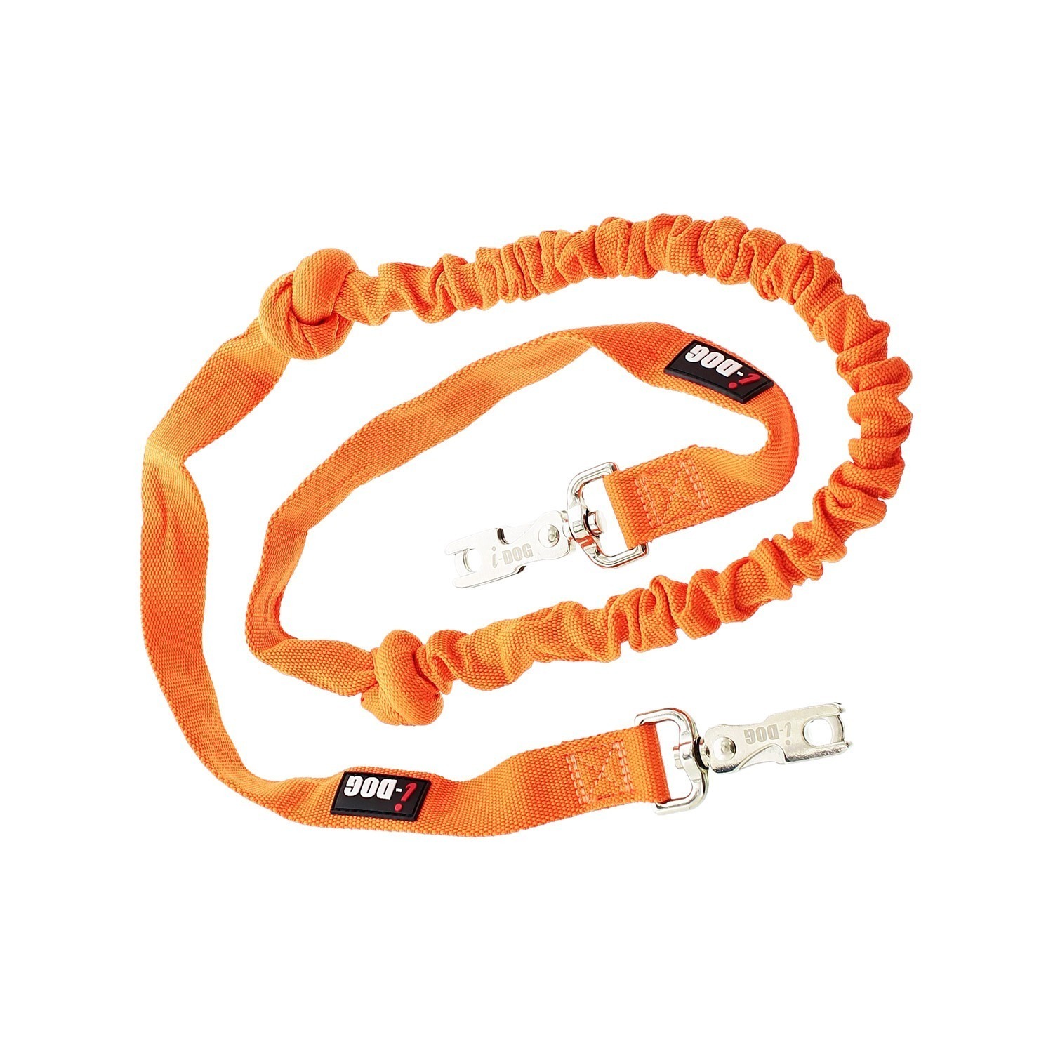 photo-pres-longe-I-DOG-01-1
