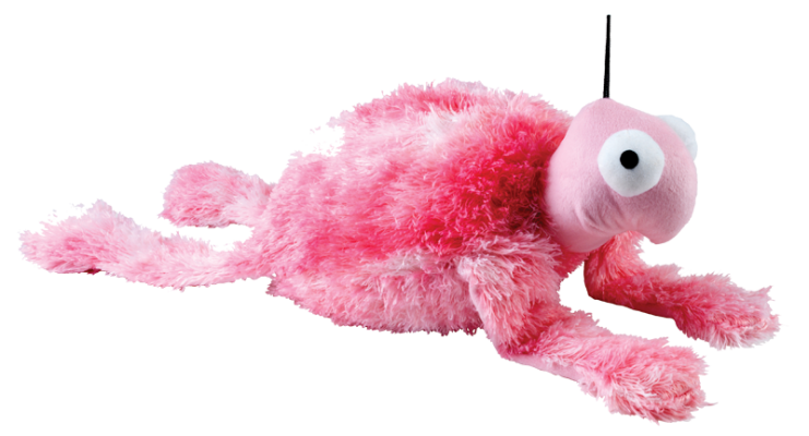 Giant-Tortoise-Pink1-e1433774249260