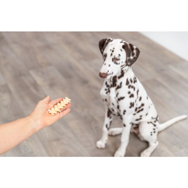 PHO_PRO_DOG_27153-4_#SALL_#AWK_#V1