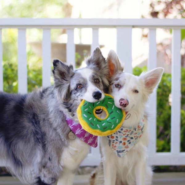 Donutz-Mint-scaled-600x600-1