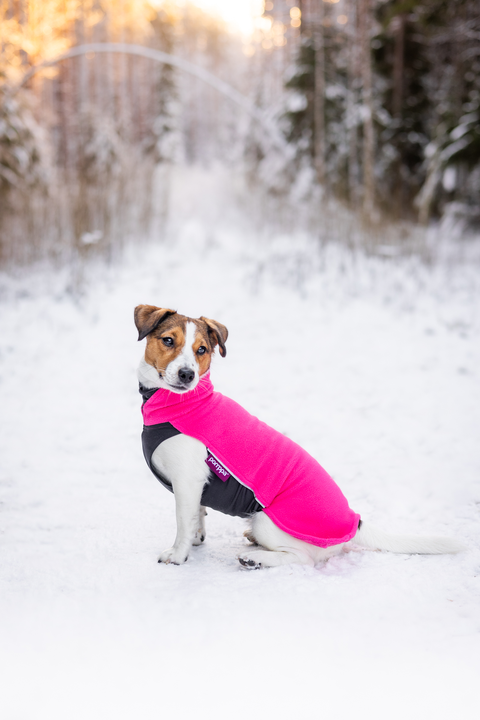 Jumppa_Pink1