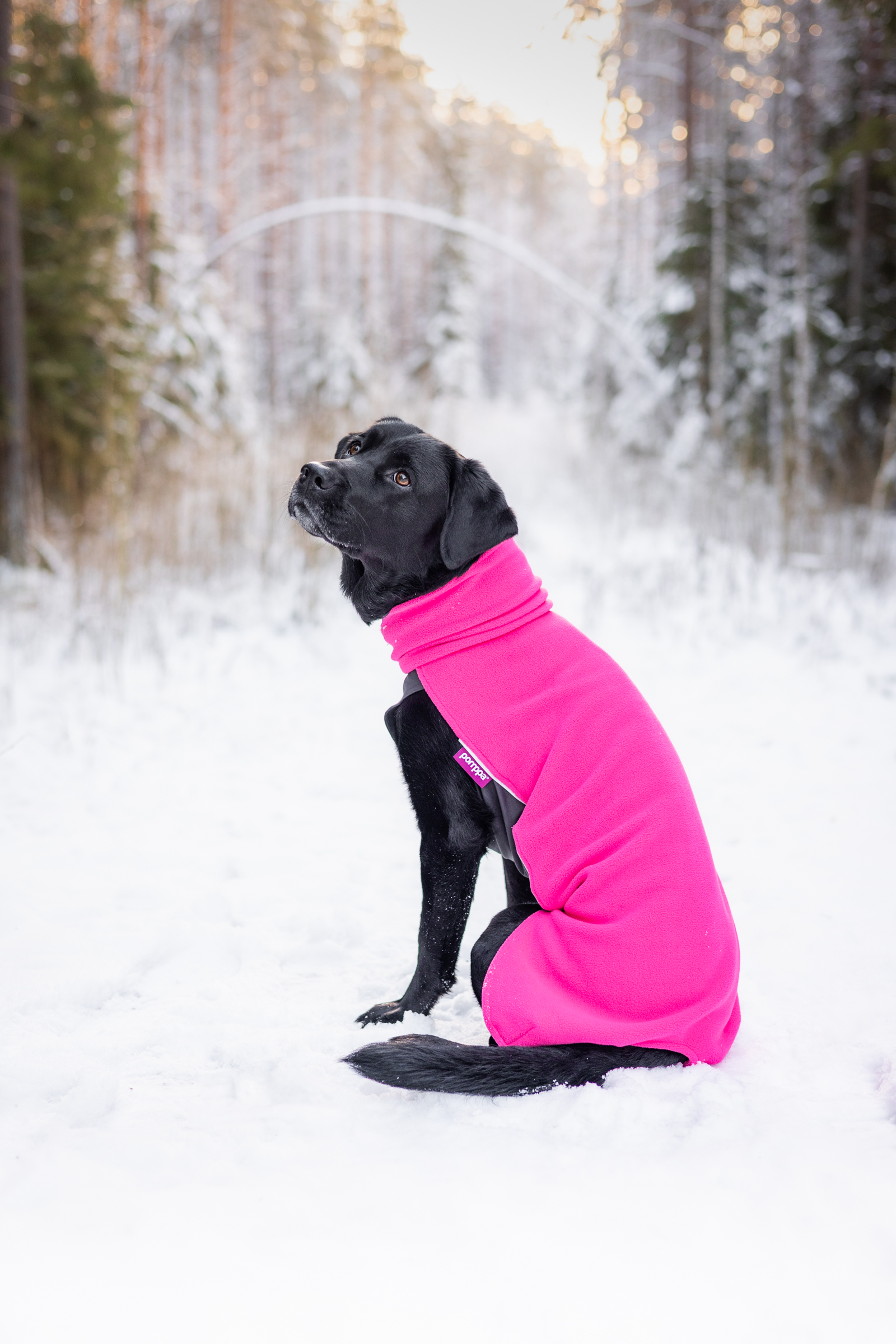Jumppa_Pink7