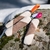 Mighty-tug-toy-different-colours-570x570