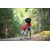 Polar_Rowanberry1