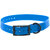 photo-pres-collier-XTREME-boucle-double-CANIHUNT-11