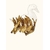images (1)