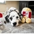 Sir-Noble_4-copy-e1514577978728-600x576-1