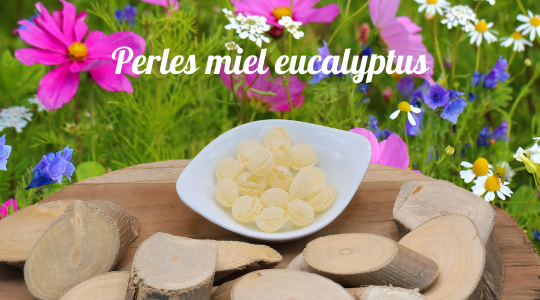 Perles Miel Eucalyptus