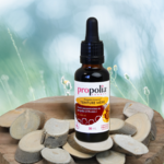 Teinture mère de Propolis