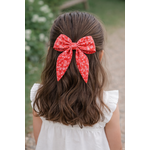 Chouette noeud rouge et cheveux bruns