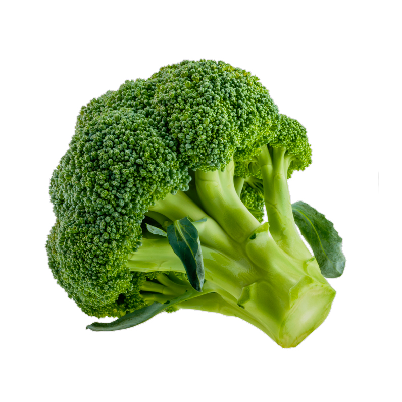 brocoli-bio_le-court-circuit-89