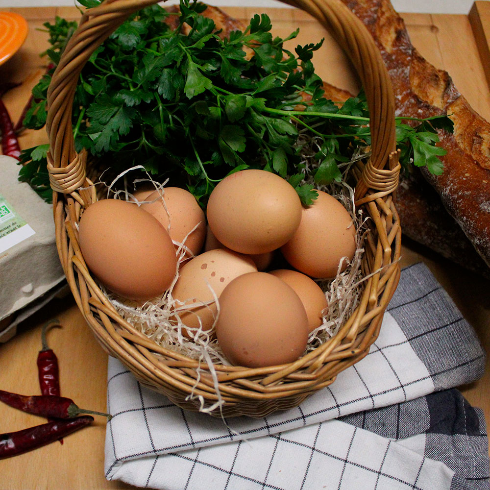 oeufs-fermiers-bio-6_le-court-circuit-89