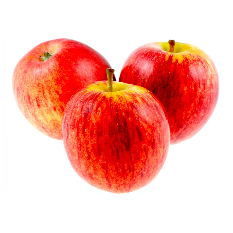 pomme-reine-reinette-bio_le-court-circuit-89