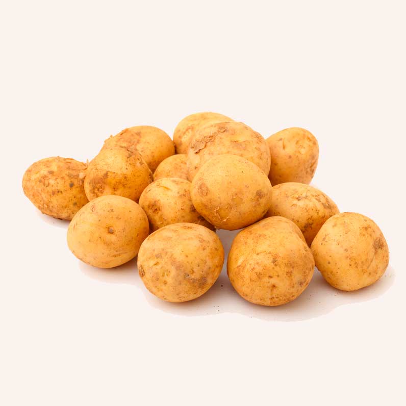pommes-terre-primeur-starlette-bio_le-court-circuit-89