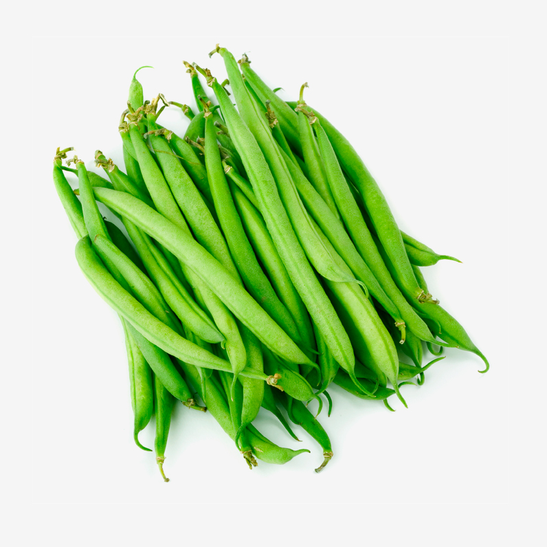 haricot-vert-bio_le-court-circuit-89